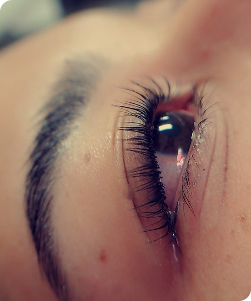 WhatsApp Image 2025-10-01 at 15.48.26 (1)