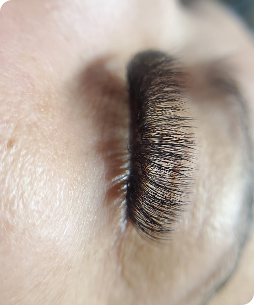 WhatsApp Image 2025-10-01 at 15.48.26 (2)