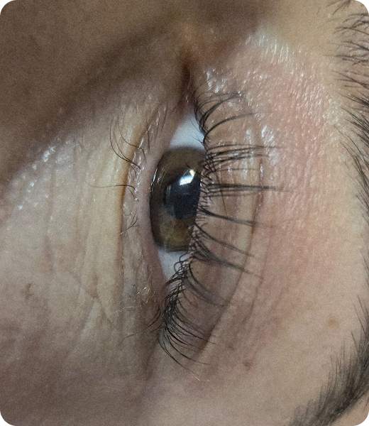 WhatsApp Image 2025-10-31 at 12.36.34 (2)