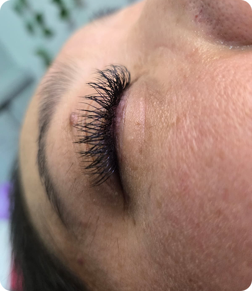 WhatsApp Image 2025-10-31 at 12.36.35