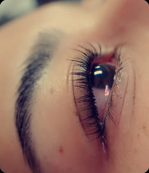 Pestañas y cejas, trabajo de Diana’s Hair Studio