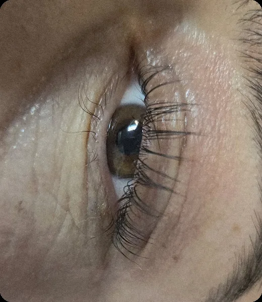 Pestañas y cejas, trabajo de Diana’s Hair Studio