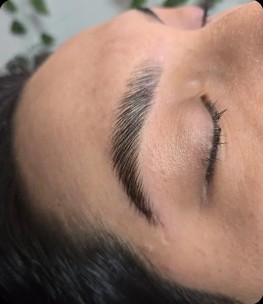 Pestañas y cejas, trabajo de Diana’s Hair Studio