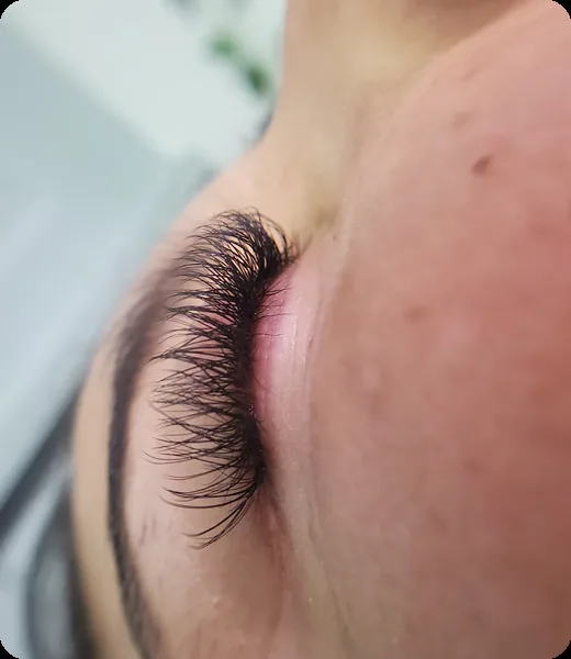 Pestañas y cejas, trabajo de Diana’s Hair Studio